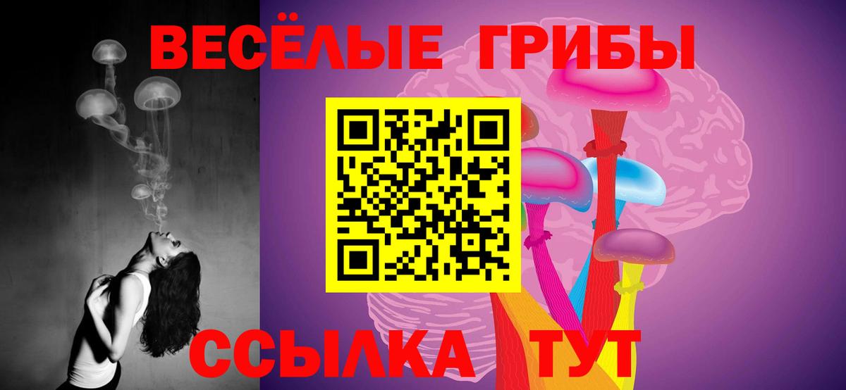 Псилоцибиновые грибы Cubensis Нарткала