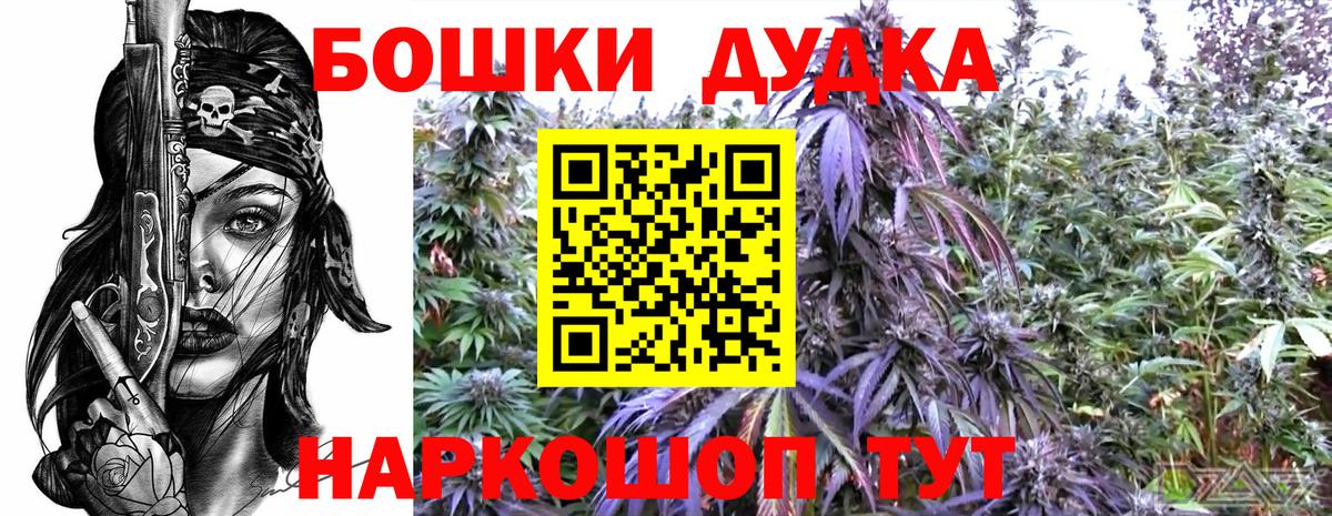 Канабис сатива Нарткала